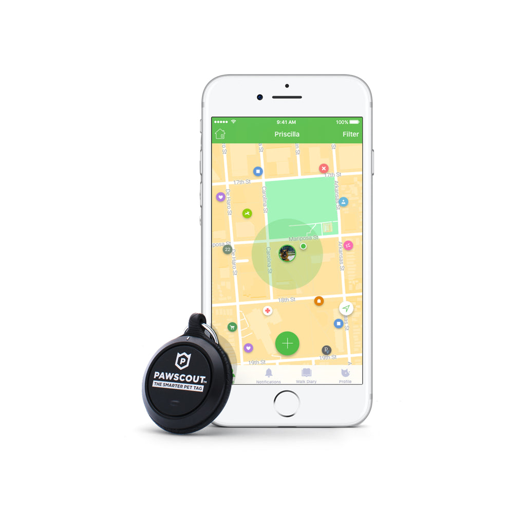Pawscout Smarter Pet Tag (Limit two per customer)