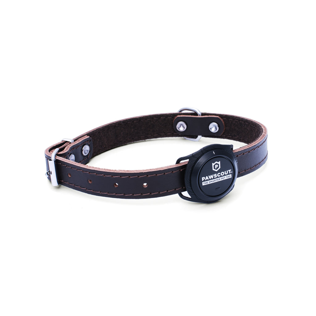 Pawscout Smarter Pet Tag (Limit two per customer)